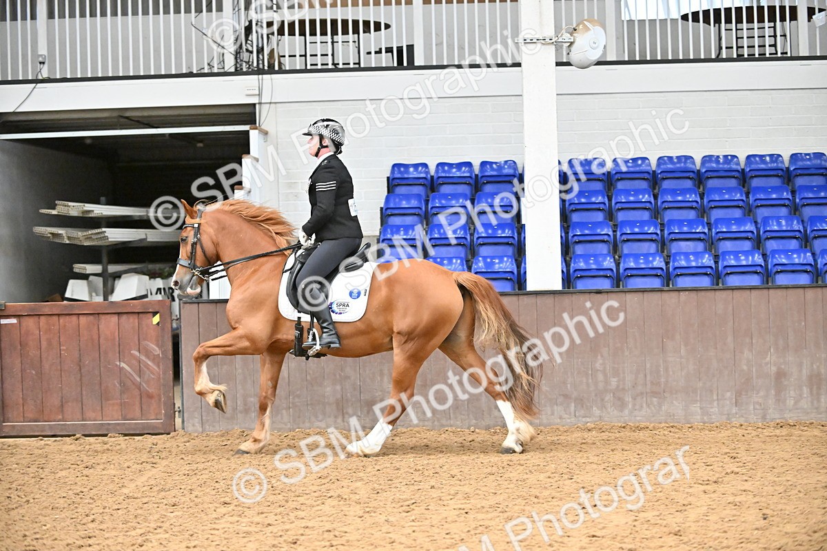 SBM_001470 - Class 19,20 - Ridden Native, Foreign Breeds & Warmbloods