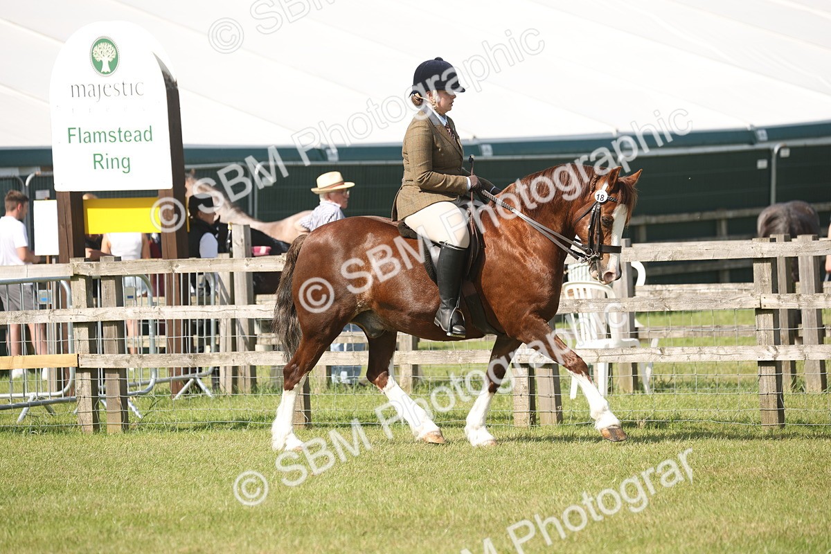 SBM_09534 - Class 33-38 - SSADL RIHS Qualifiers