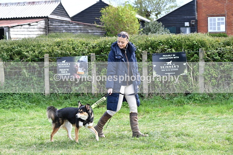 WJ5_0724 - Best in Show Championship