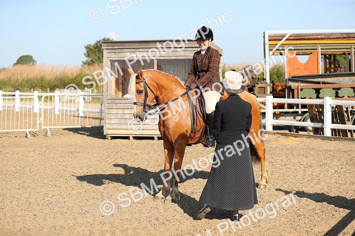 SBM_01193 - Class 42 Ridden Veteran