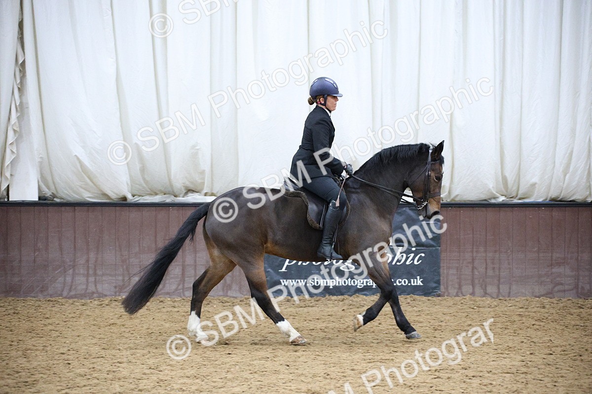 5K7A6076 - Class 48 - Ridden Mare
