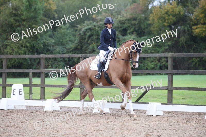 20261021-0637 - Class 5 - Novice 1