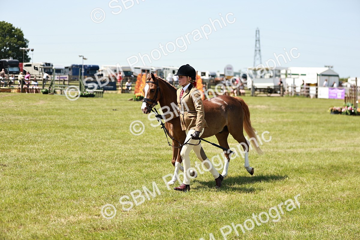 SBM_15687 - Class 108-109 - BSPS LIHS Open Gradle & Nursery Stakes