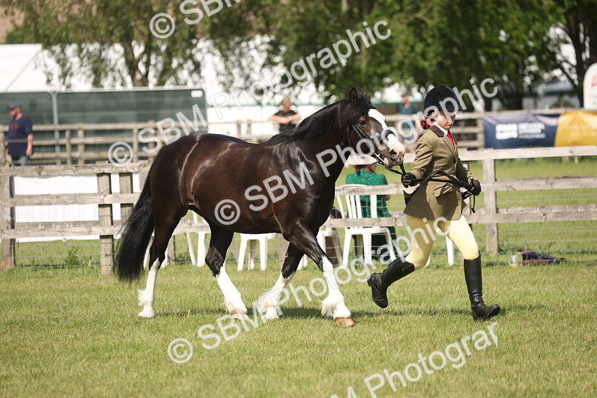 SBM_09231 - Class 31-32 - SSADL Members Challenge