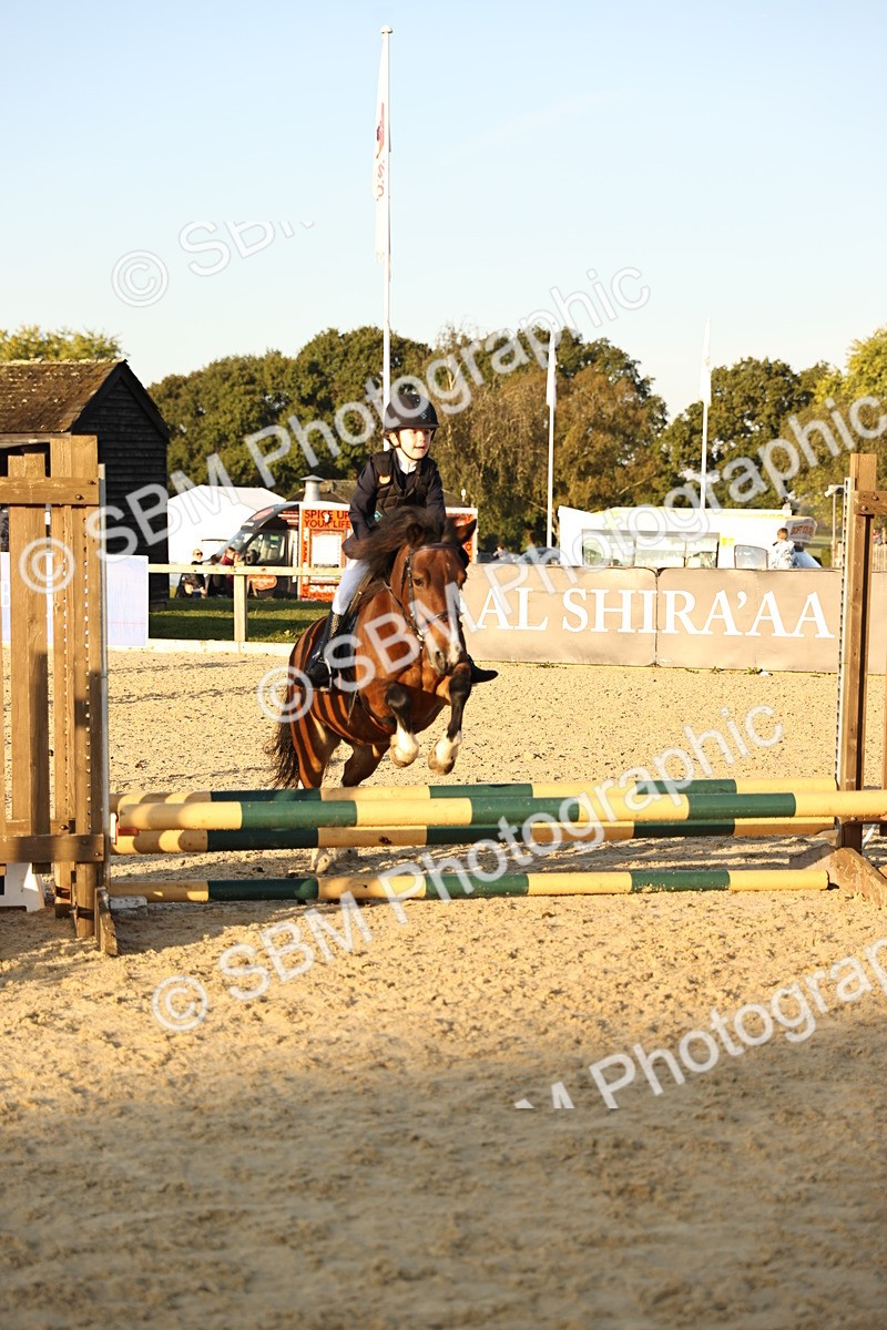 SBM_57076 - J11 - Junior Pony 50cm Championship