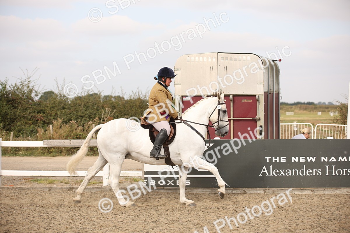 SBM_16247 - Class 409a - Working Veteran 80cm (15-19)