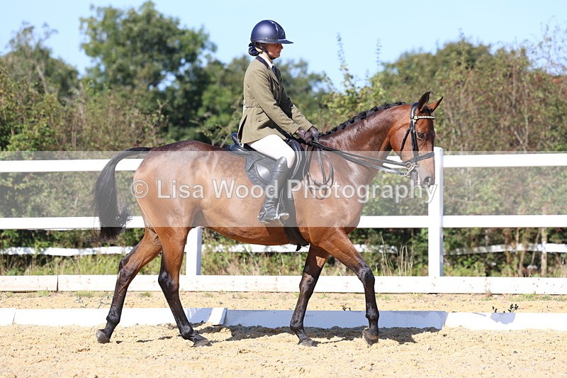 3E7A5665 - Class 10: Riding Horse