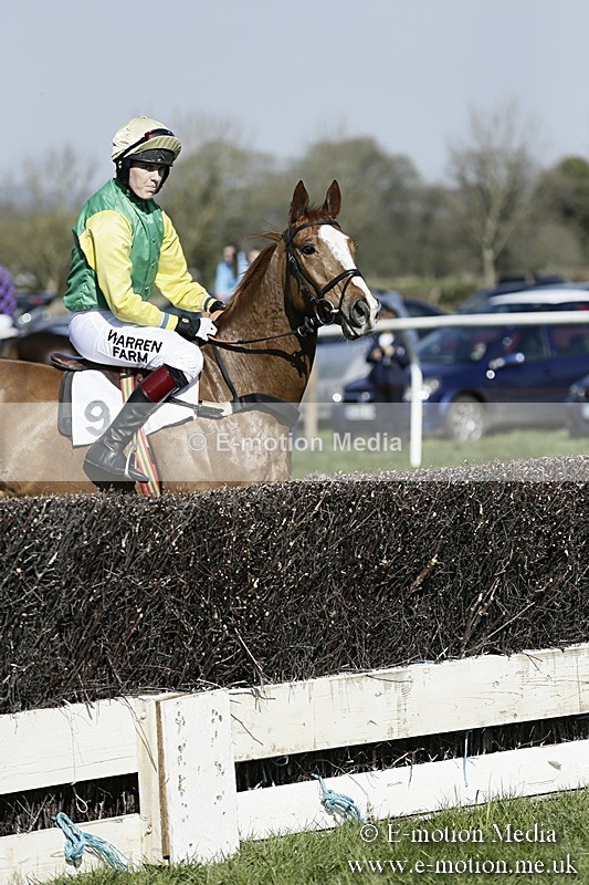 PtP 260317 177 - Mendip Farmers Point-to-Point Ston Easton 26/03/17