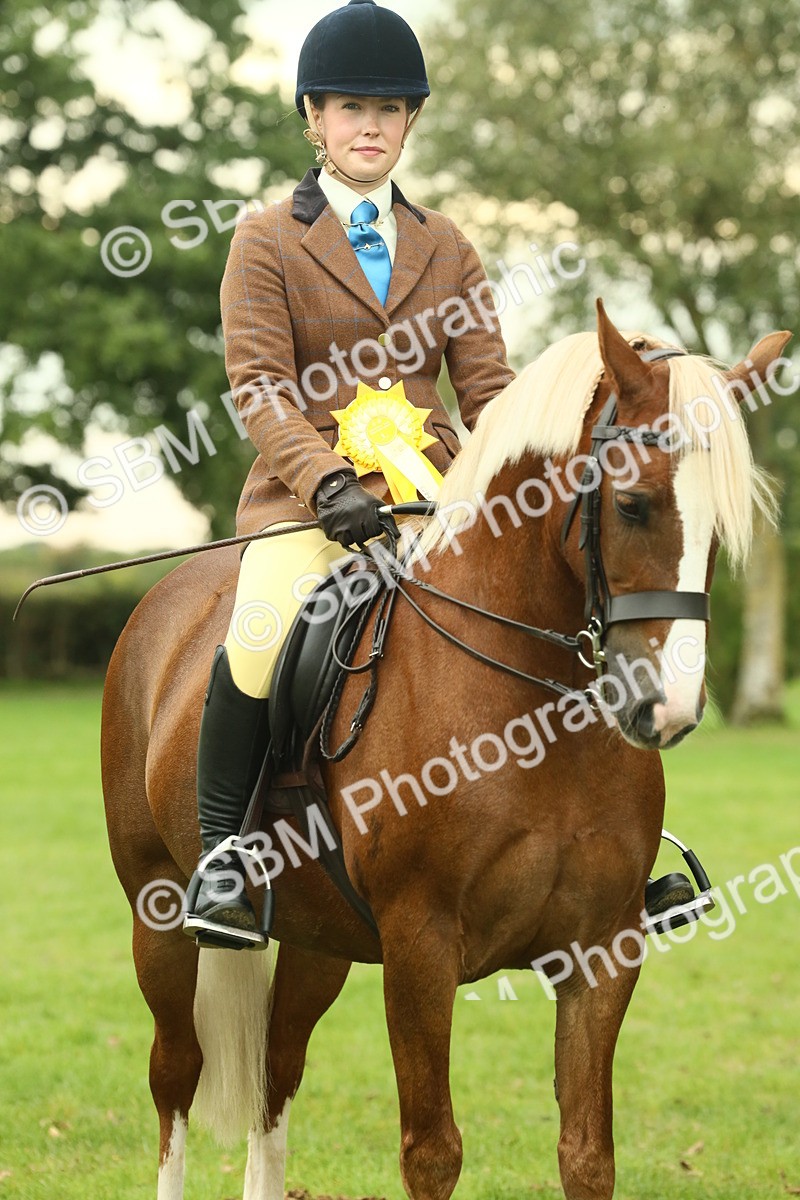 SBM_72321 - S60 - Mountain & Moorland Ridden Large Breeds