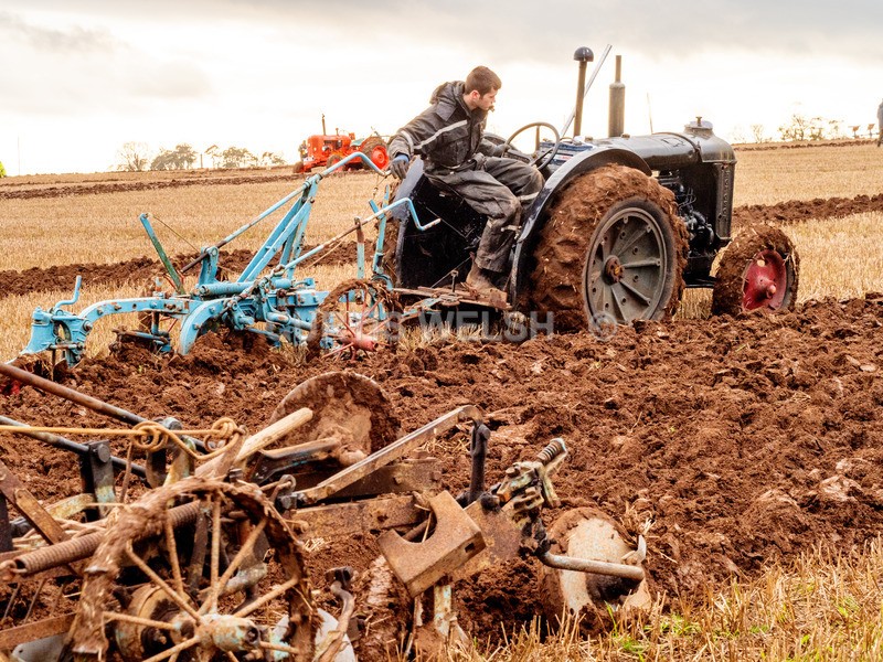 PB260122 - Lauderdale Ploughing Society - Ploughing match 26-11-22