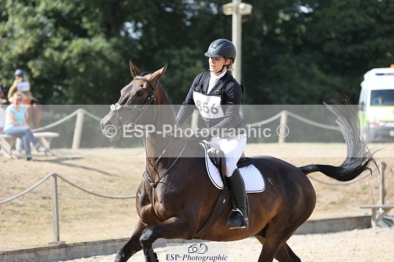 250803A-162748-17473 - S-856-Helena.Stock-ROYAL.UPDATE