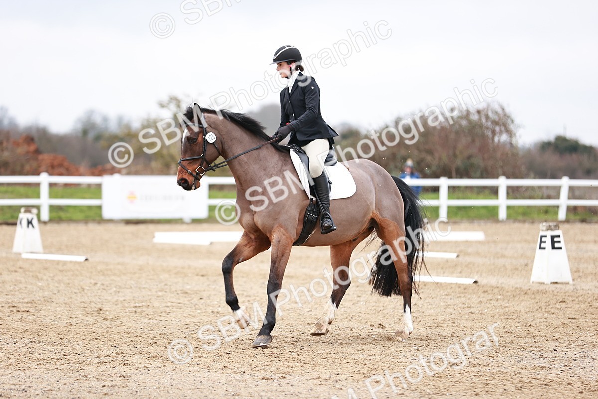 SBM_005256 - Elementary 1