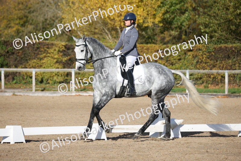 20251102-1172 - Class 6 - Elementary 6