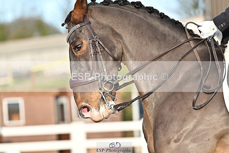 241214-141755-02787 - 153-Sally.Bell-Hilton.VI