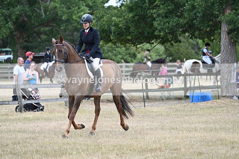 WJ7_0859 - Class 7 Riding Club Show Horse