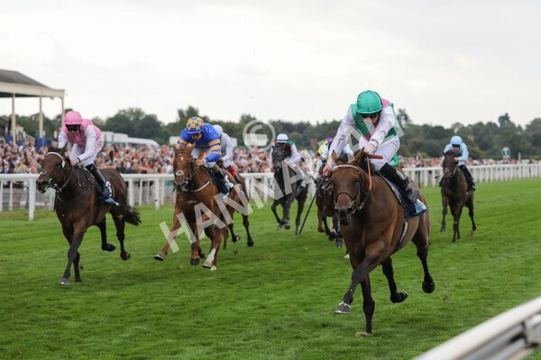 yr18082022r5-19 - Race 5 4.10pm British EBF & Sir Henry Cecil Galtres Stakes