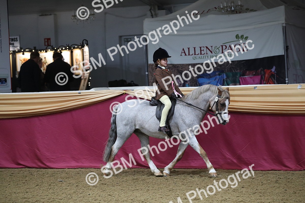 SBM_09398 - Class 101 Equitation (best rider), Junior