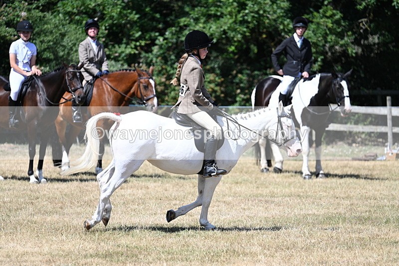 WJ7_3661 - Class 8 Ridden Veterans
