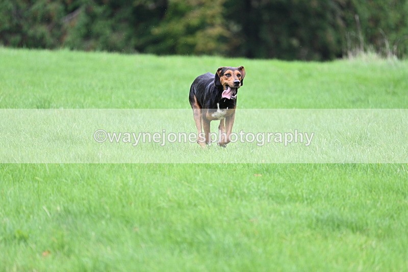 WJ7_4315 - Camera 1 Line 3