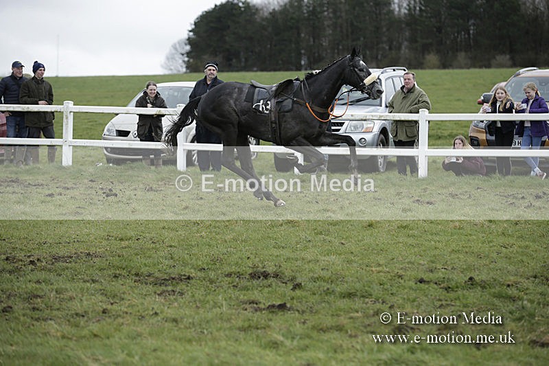 PtP 150320 0512 - New Forest Point-to-Point Larkhill 15/03/20