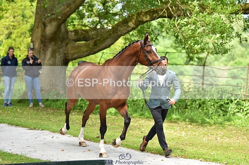 240522-150108-00044 - 352-SHANNONDALE_ALDO-Alexander_Bragg