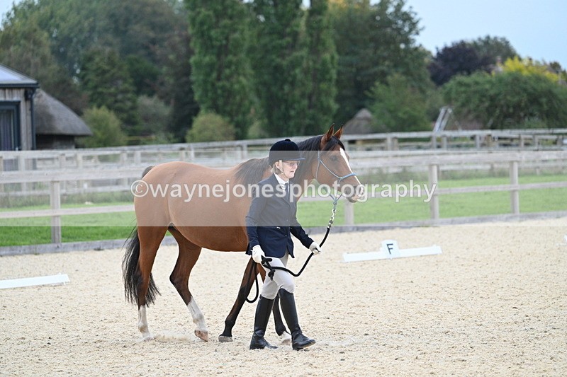 WJ7_1880 - Class 1 & Champs