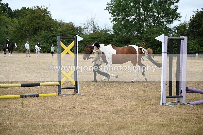 WJ6_8166 - Class 10 Coloured in Hand