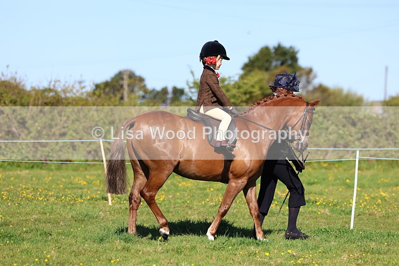 3E7A8473 - Class 2: Lead rein