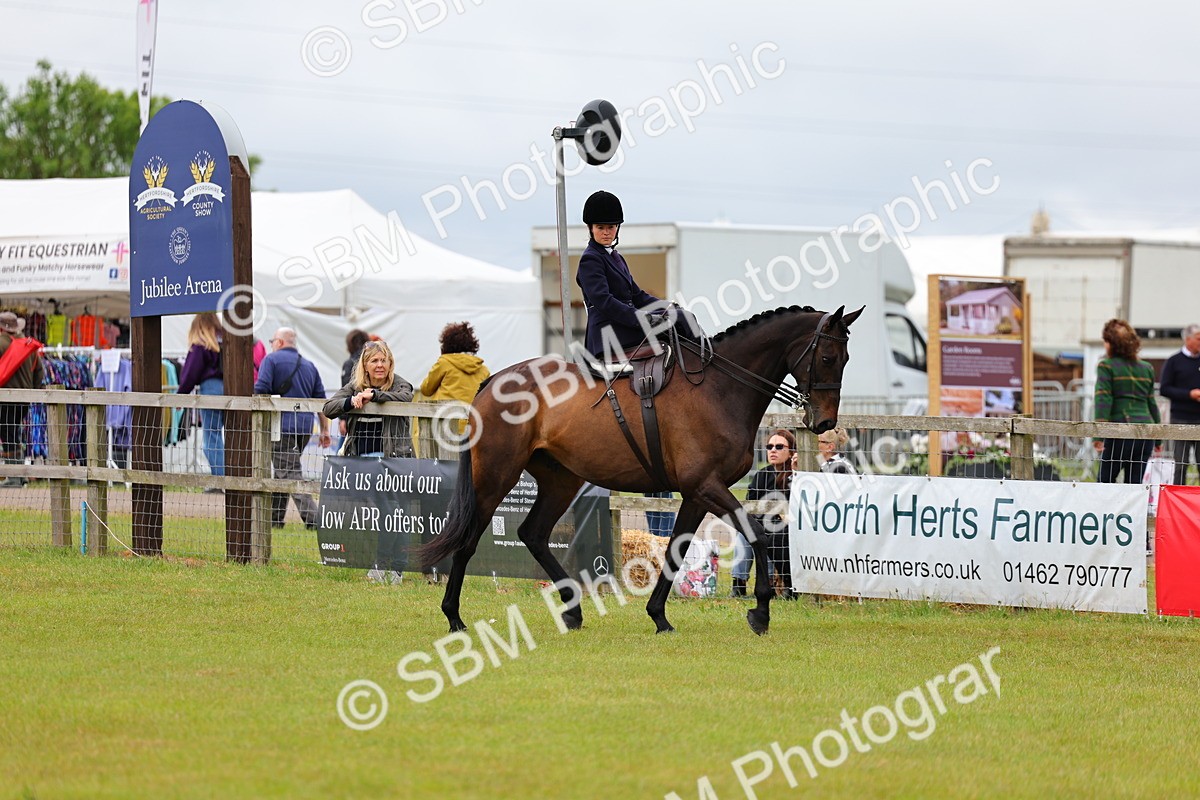 SBM_02830 - Class 9-11 Side Saddle including LIHS Rising Star Ladies Show Horse