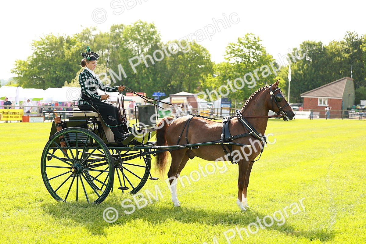SBM_01237 - Class 2-4 - HOYS Private Driving