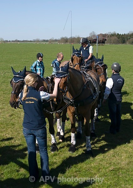 _DSC9126sml - Ashfields Carriage & Polo Club