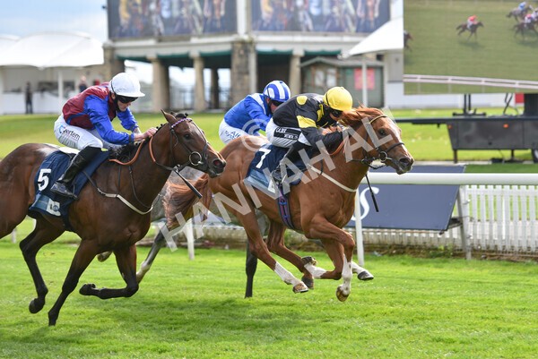 yr12052021r6-20 - Race 6 4.15pm British Stallion Studs EBF Novice Stakes