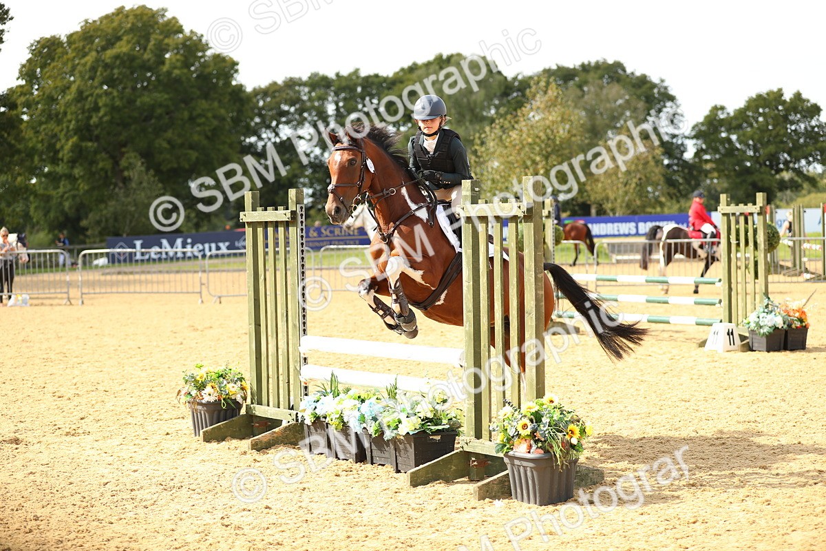 SBM_67367 - J17 - Junior Pony 80cm Championship