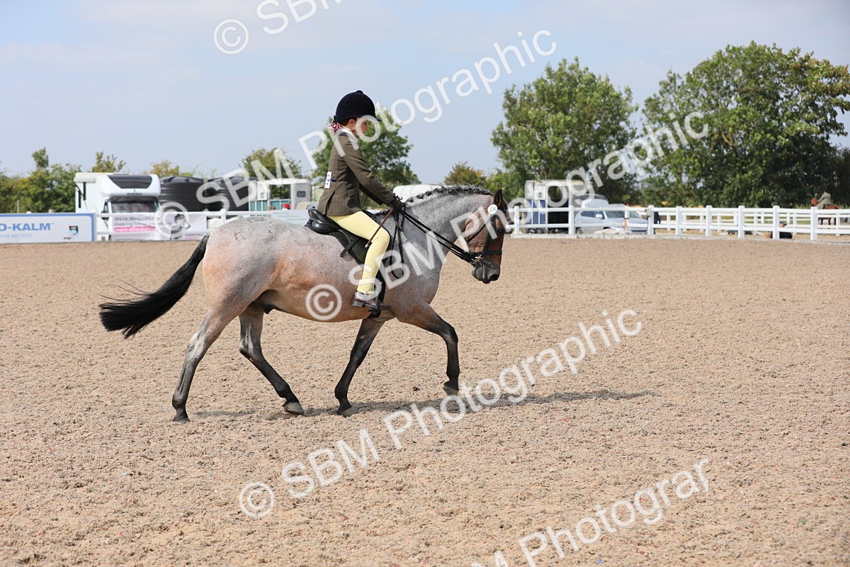 SBM_14711 - Class 310 First Ridden Pony