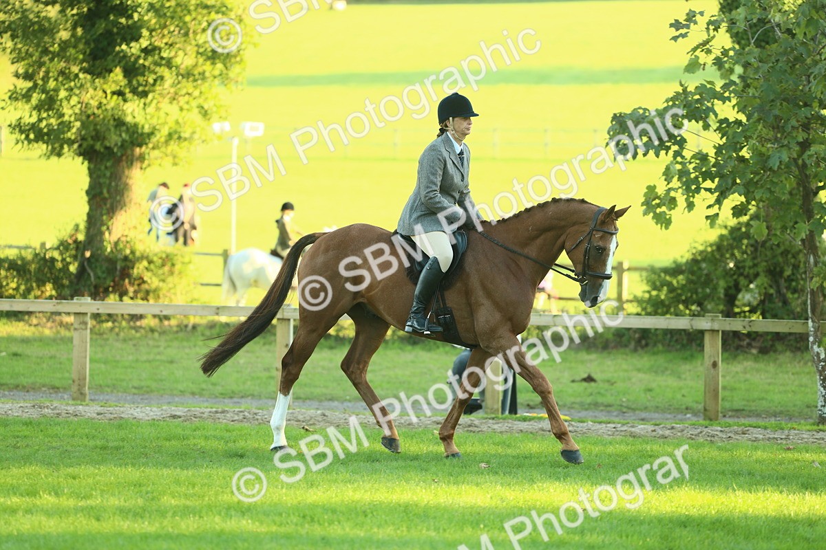 SBM_55651 - S14 - Riding Club Horse