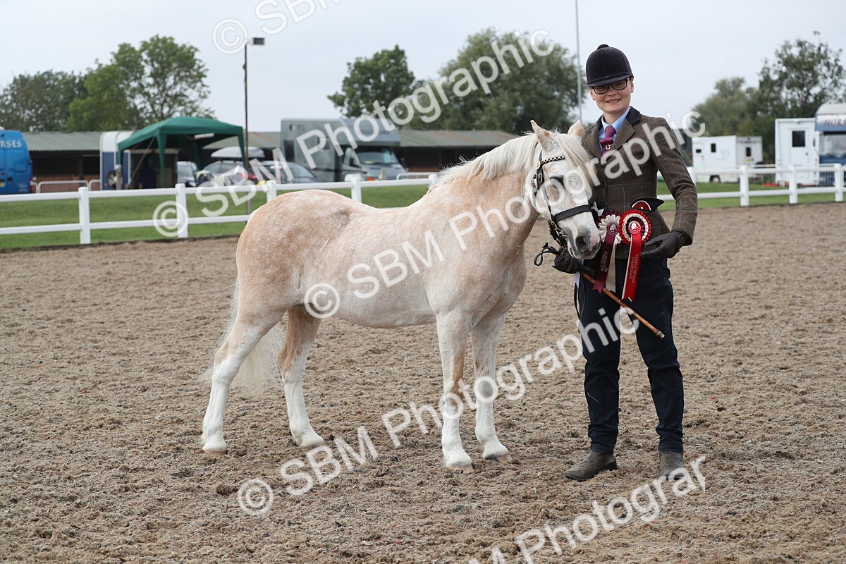 SBM_22572 - Class 604 - 2025 Area - IH Diamond