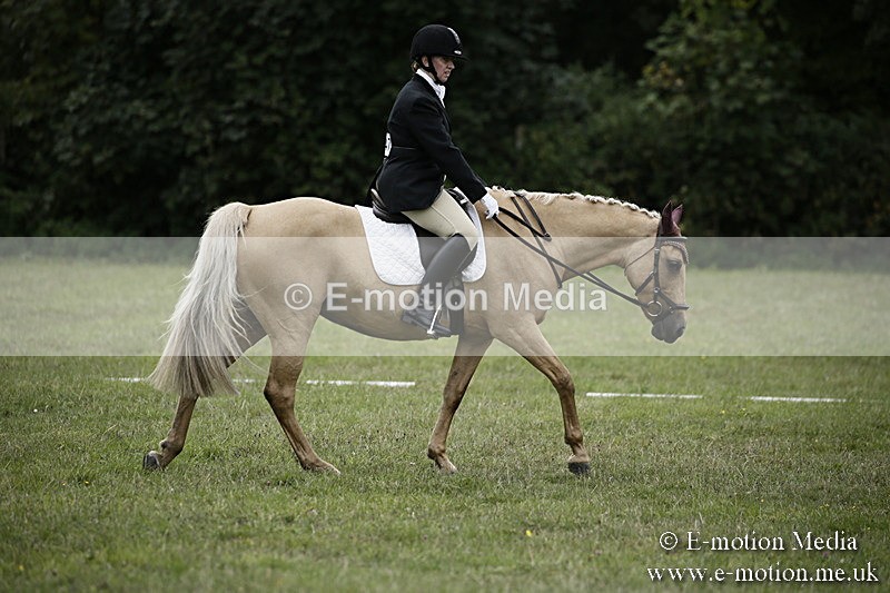 BVR080918 301 - BVRC Novice Dressage & CR 08/09/18