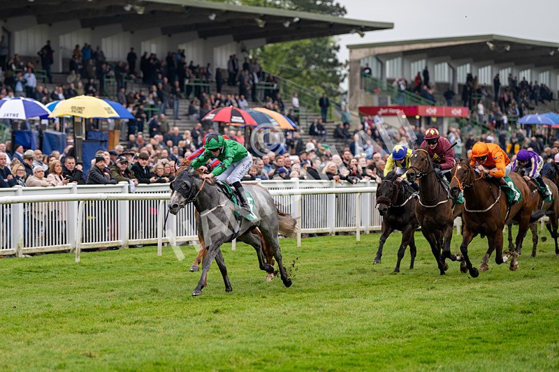 040524-Race 4-Star Of Lady M-4500 - Race 4