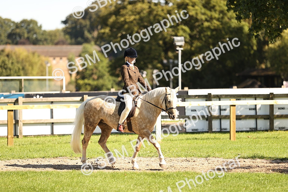SBM_19132 - S3 - TSR Ridden Pony Showing