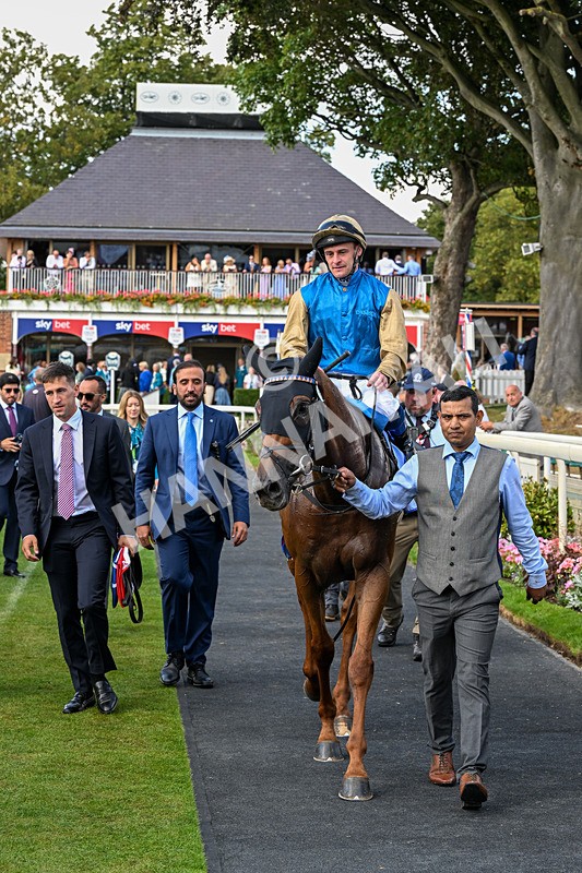 220826-Race 1-Archivist-9337 - Race 1 13.50pm Sky Bet Strensall Stakes