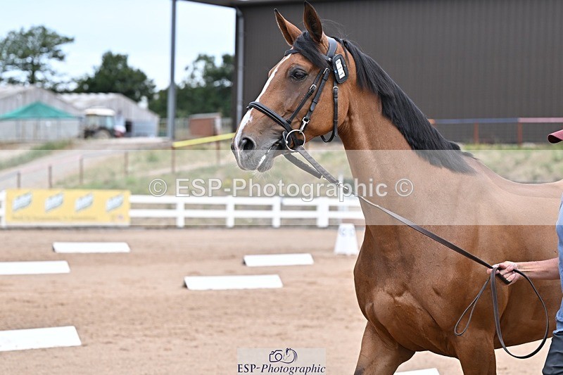 250716-135457-00704 - Trot Up 1.30 to 2.30