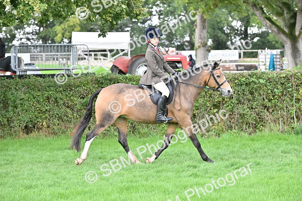 SBM_42946 - S12 - Family Horse & Pony
