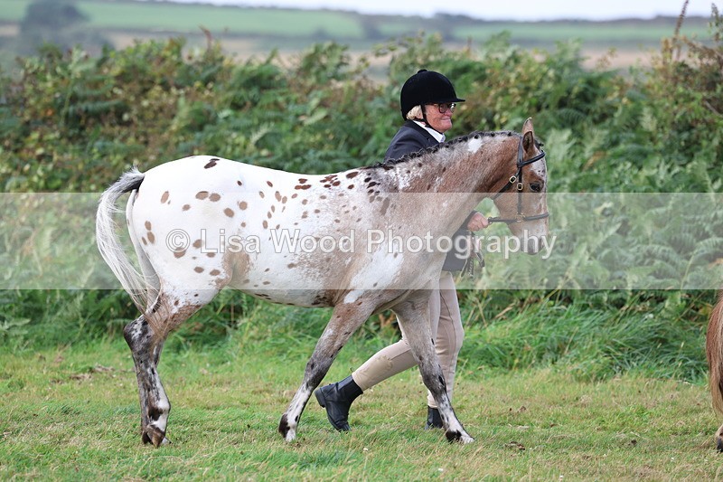 3E7A4020 - Class 15: Two Year Olds