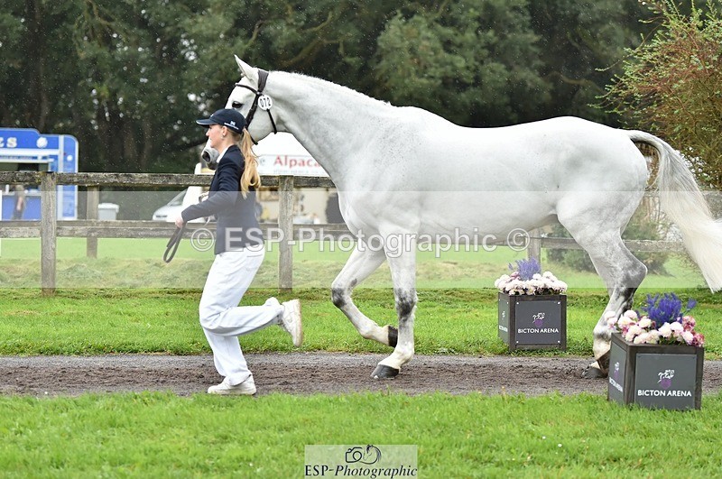 231018-125124-00573 - 072-CARROW.IROKO-Alice.England-TrotUp