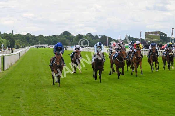 140624-Race 2-Inconspicuous-3959 - Race 2 2.25pm CGE Yorkshire Rous Selling Stakes