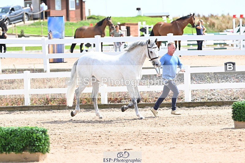 240717A-144839-02309 - Trot Up 2pm to 3pm - This folder is not in time order