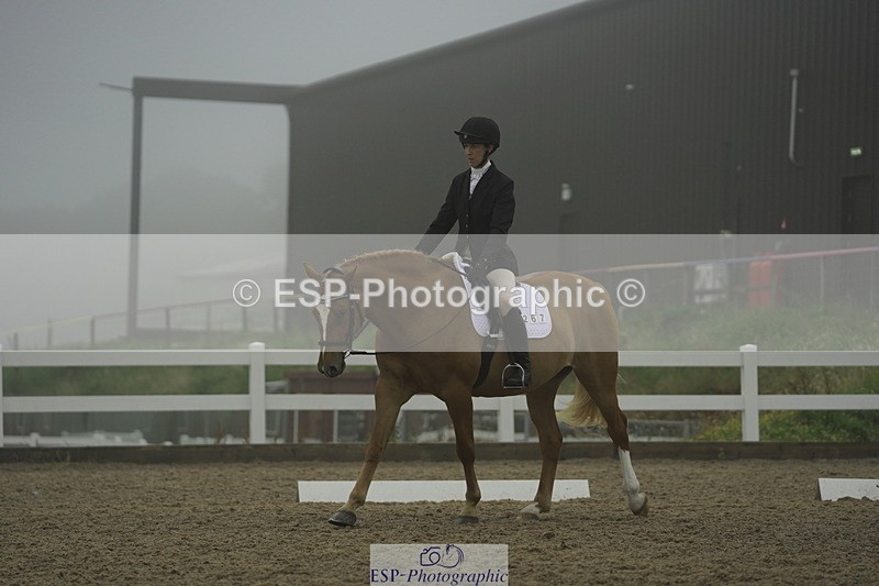 230708A-150156-03968 - Prelim 18