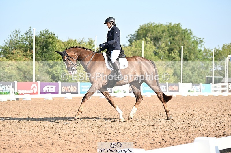 250816-090834-02570 - 097-Susie.CullenSir.Safir.Caledonia