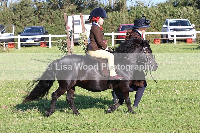 JPP_0847 - Class 16: Cornish Combination Leading Rein