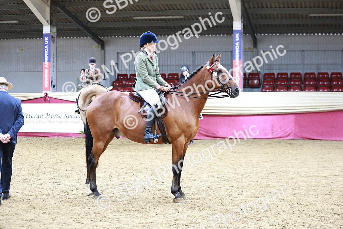 SBM_03515 - Class 6A Area Ridden Pre-Vet